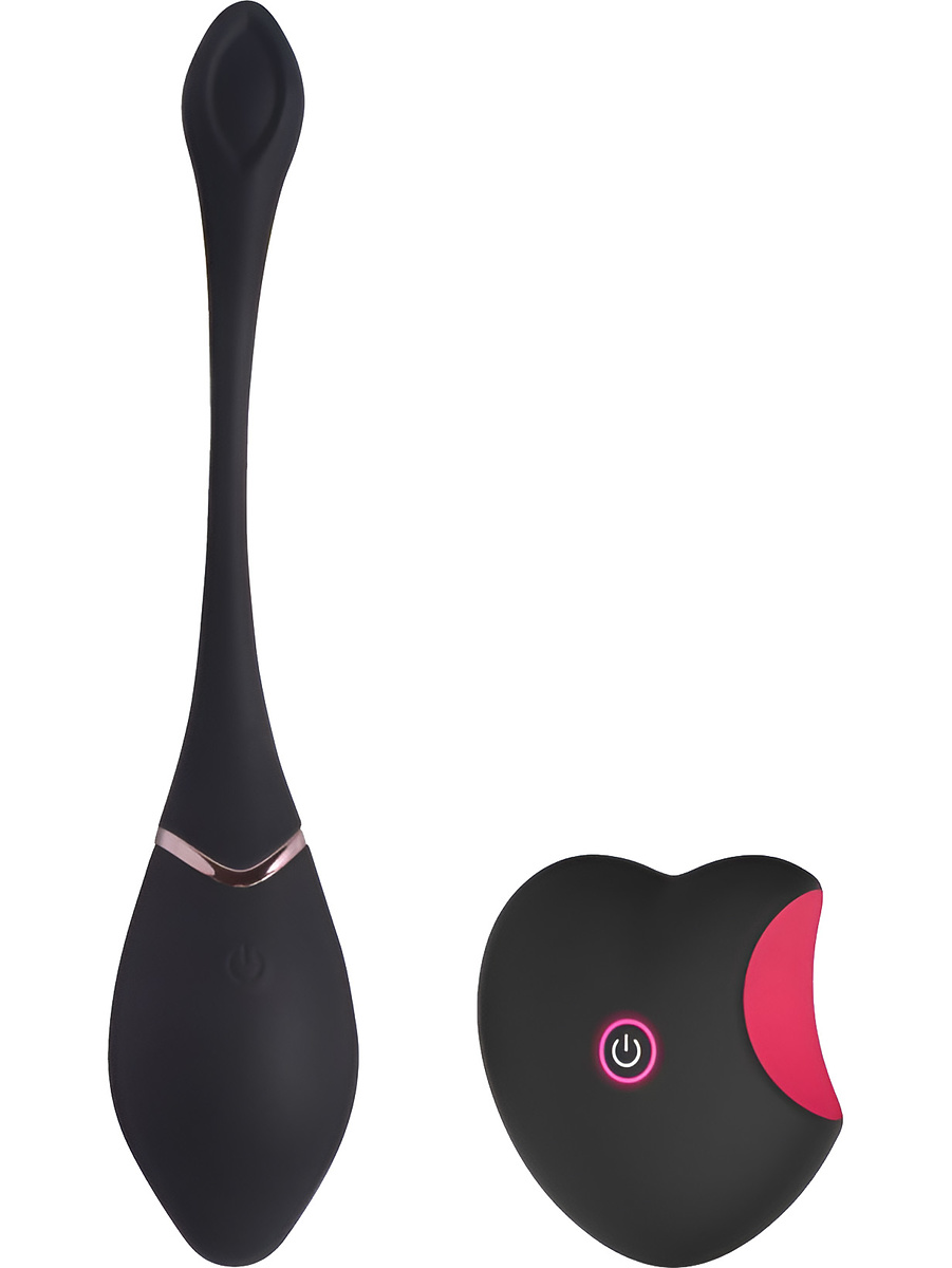 Power Pocket Sinner, Vibrating Egg with Remote
