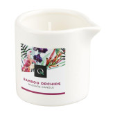 Massage Candle, Bamboo Orchids