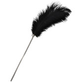Luxury Feather Tickler