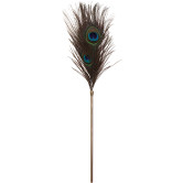 Dona, Peacock Tickler