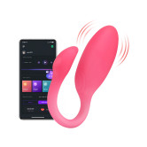 Flamingo Max, interactive Vibrator & Pelvis Trainer